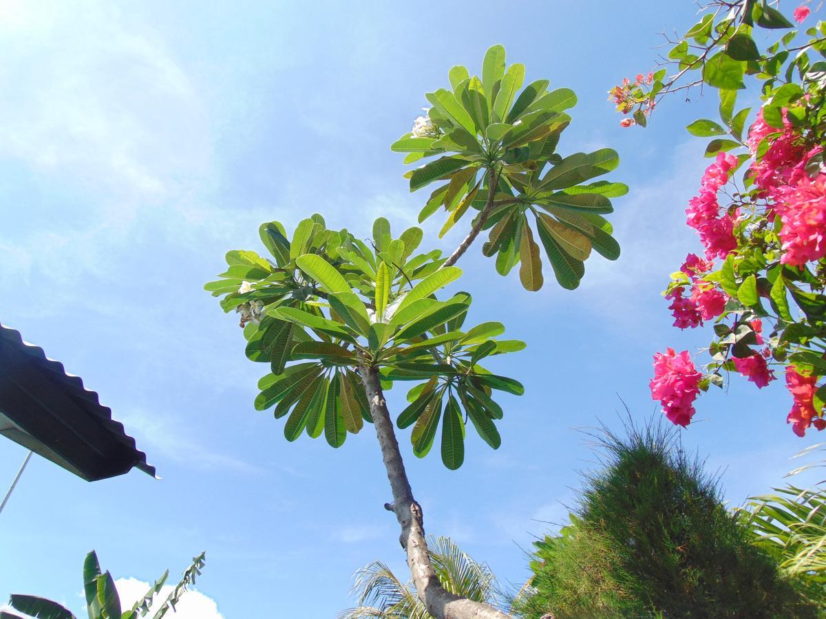 Hotel Sister Bungalow Gili Air Exterior foto